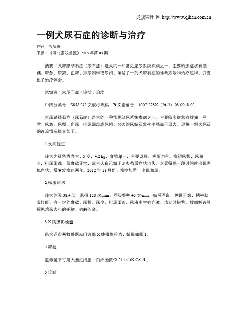 一例犬尿石症的诊断与治疗