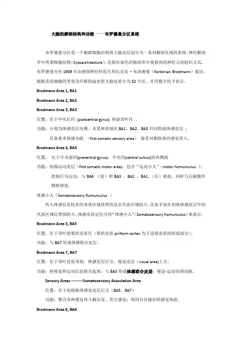 大脑的解剖结构和功能布鲁德曼分区