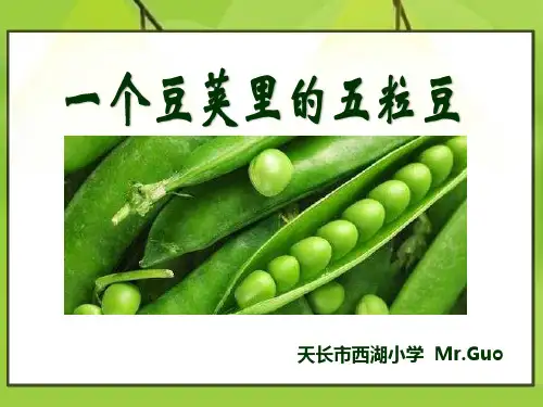 第五课-一个豆荚里的五粒豆