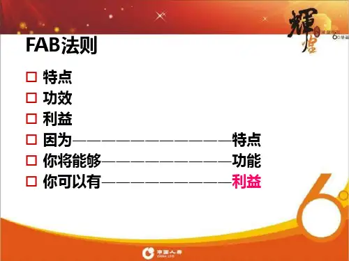 保险产品说明