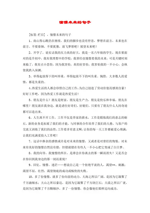 憧憬未来的句子
