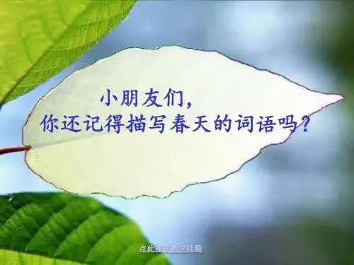 《春雨的色彩》课件-编辑
