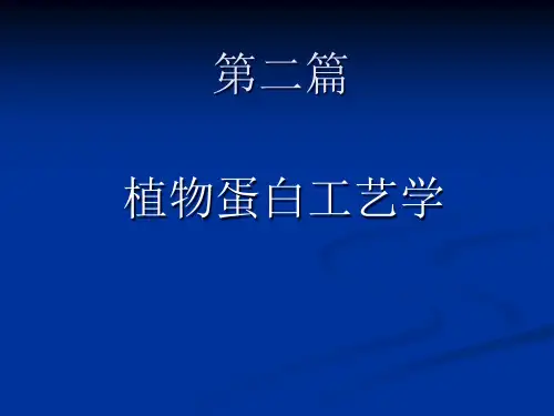 植物蛋白工艺学课件