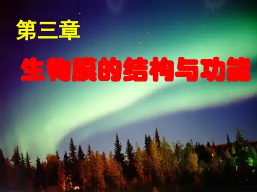 第三章1学生.ppt