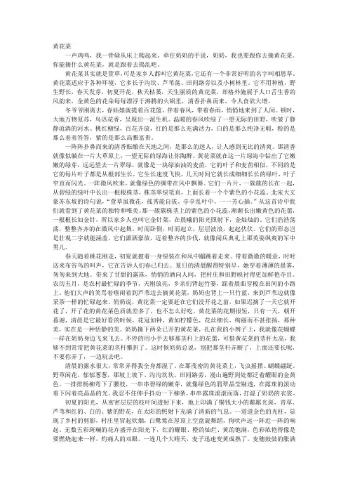 黄花菜