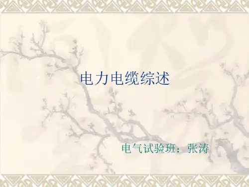 电力电缆结构资料共22页