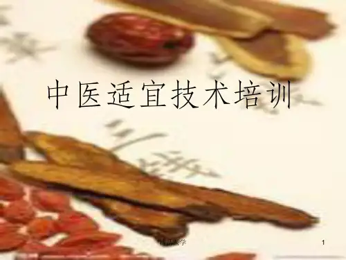 《中医适宜技术》PPT课件