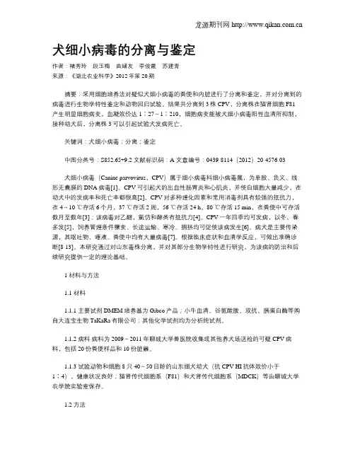 犬细小病毒的分离与鉴定