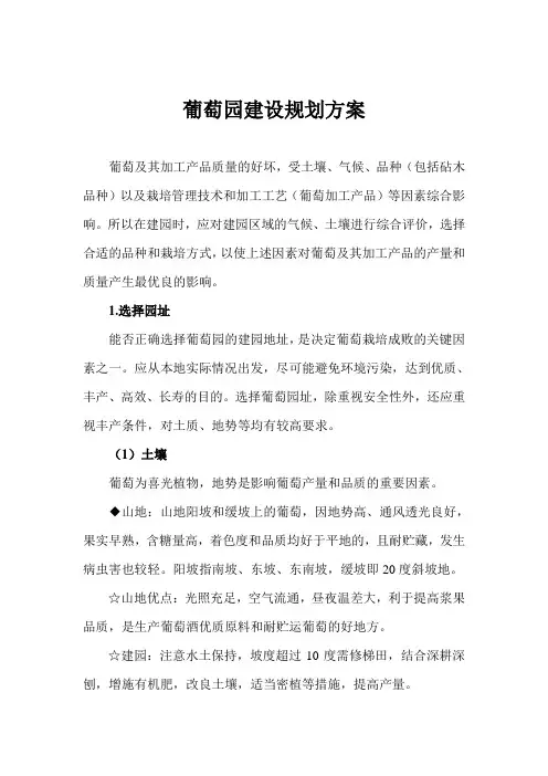 葡萄园建设规划方案