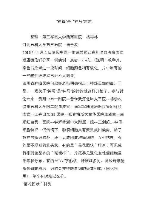 “神母”是 “神马”东东