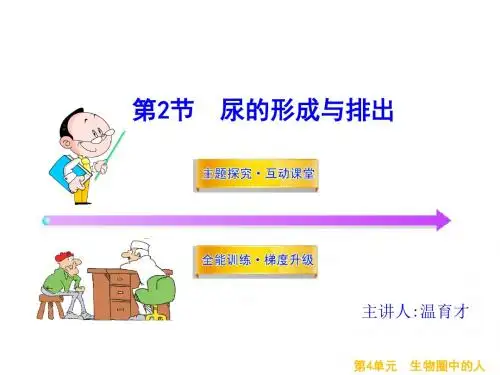 第11章 第2节  尿的形成与排出