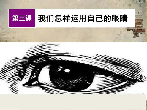 高一美术鉴赏第三课我们怎样运用自己的眼睛