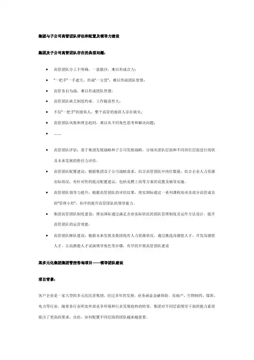 集团与子公司高管团队评估和配置及领导力建设