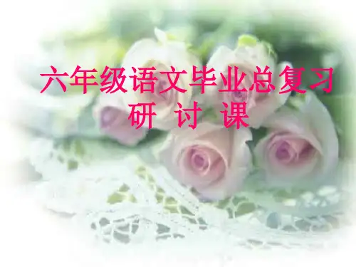 六年级复习研讨课——词语的世界