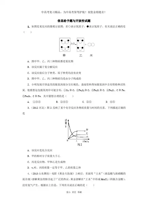 2020年中考化学专题训练：信息给予题与开放性试题(含2013试题,含详解)