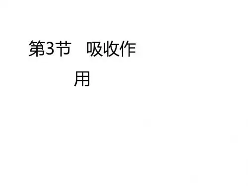 北师大版七年级生物上册5-3《吸收作用》优教课件1