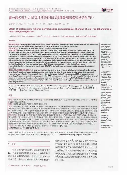雷公藤多甙对大鼠肾移植慢性排斥移植肾组织病理学的影响