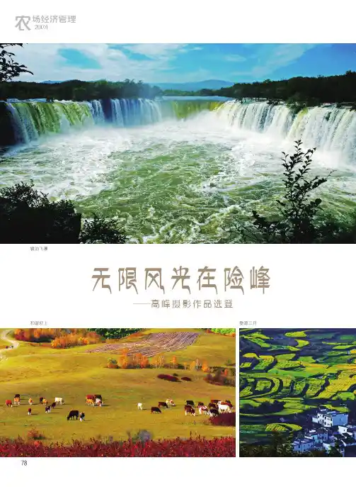 无限风光在险峰——高峰摄影作品选登