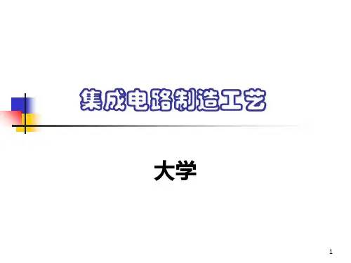 第10章工艺集成
