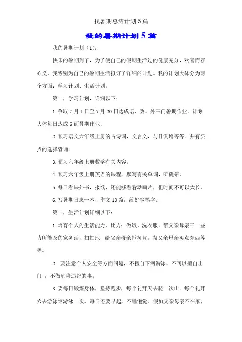 我暑假总结计划5篇