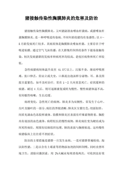 猪接触传染性胸膜肺炎危害及防治