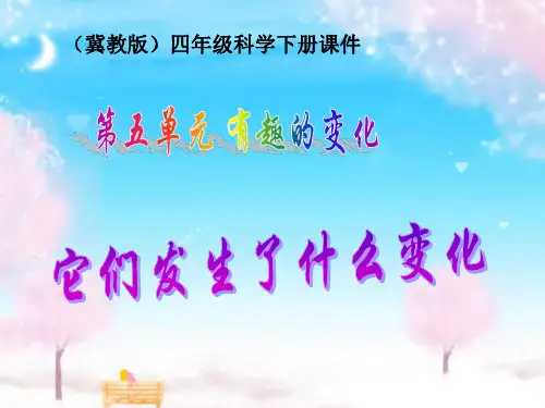 冀教小学科学四下册19它们发生了什么变化PPT课件
