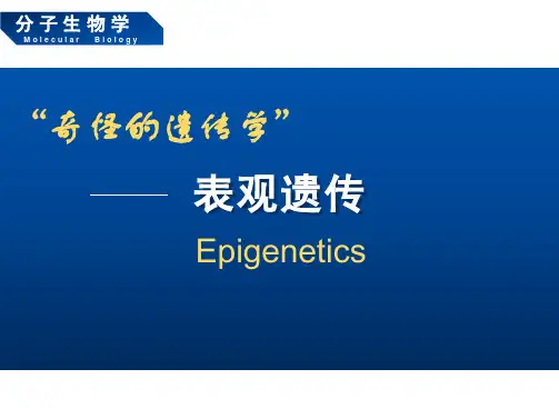 分子生物学表观遗传