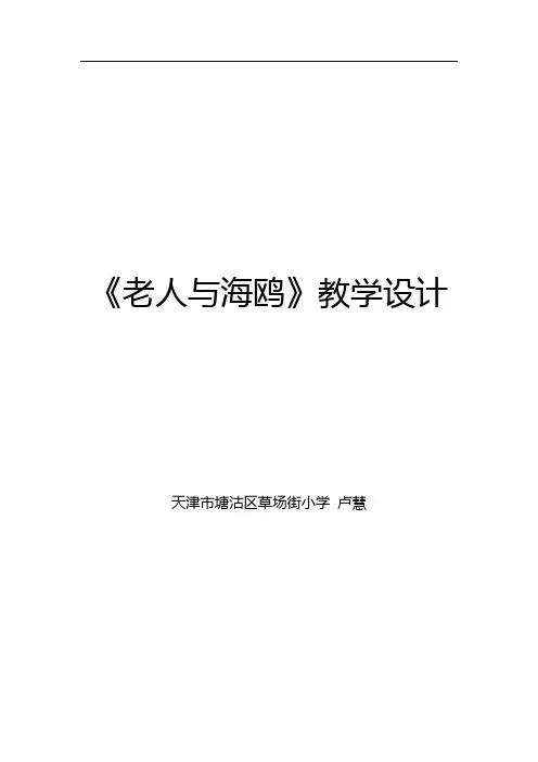 《老人与海鸥》教学设计