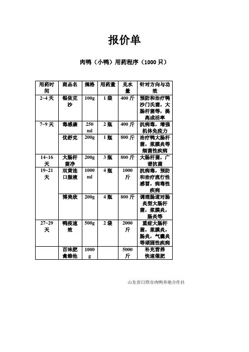 鸭用药方案