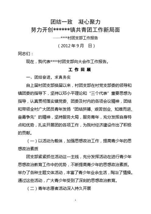 村团支部工作报告