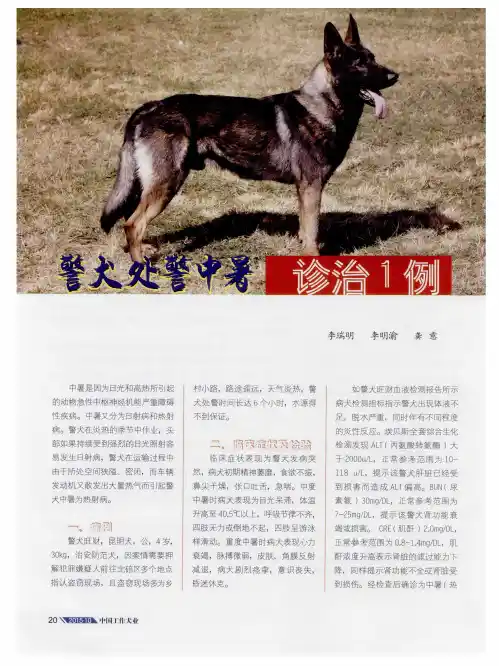 警犬处警中暑诊治1例