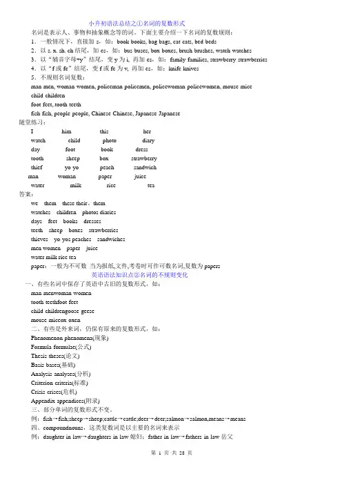 小升初 英语语法总结