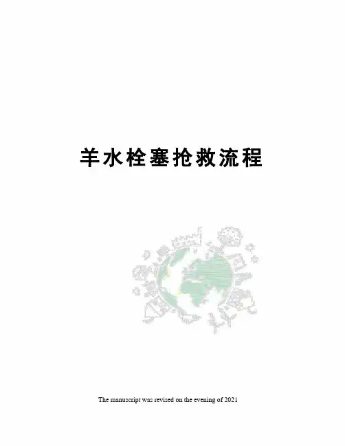 羊水栓塞抢救流程 3