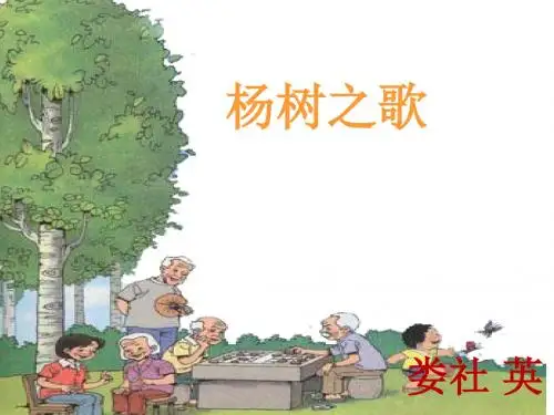 杨树之歌3