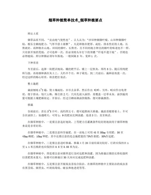 烟草种植简单技术_烟草种植要点