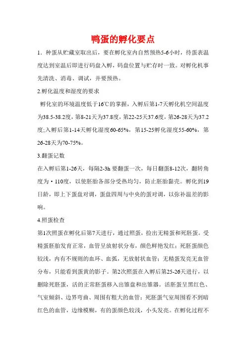 鸭蛋的孵化要点