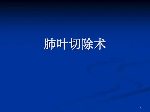肺叶切除术PPT课件