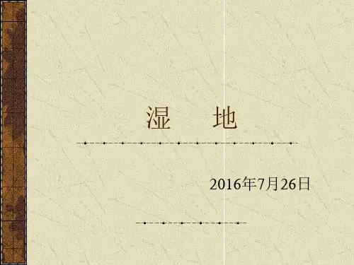 湿 地PPT资料