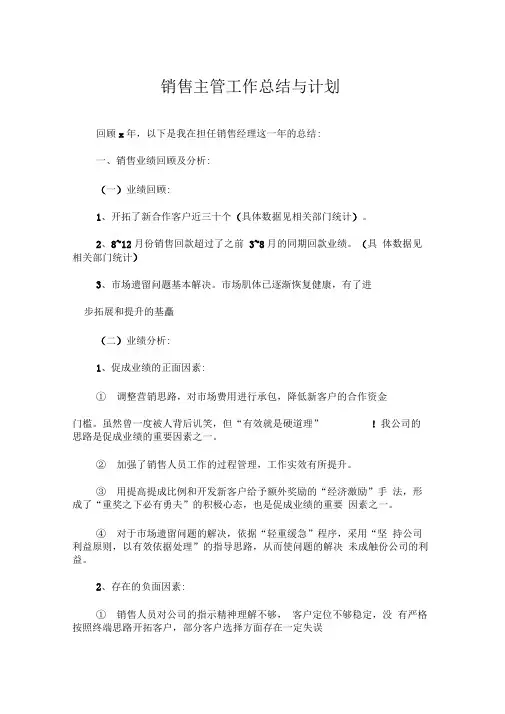 2019年销售主管工作总结与计划模板