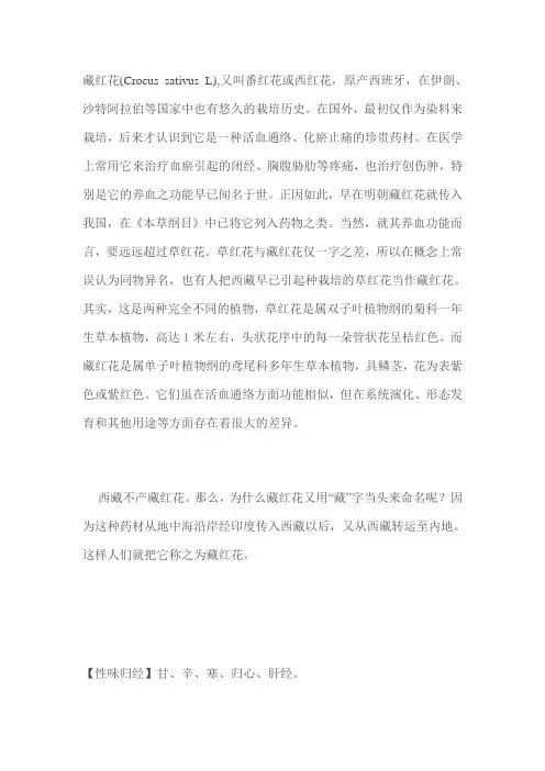 藏红花 2