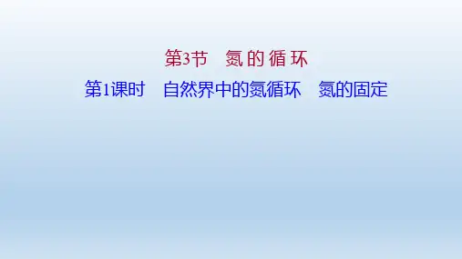 2021年高一化学鲁科版必修1(福建专用)课件第3章 第3节 第1课时 自然界中的氮循环 氮的固定 