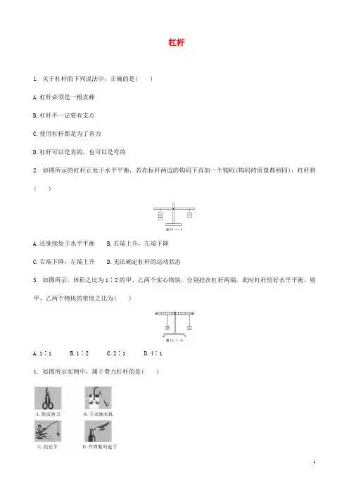 2019中考物理 杠杆专题复习训练题