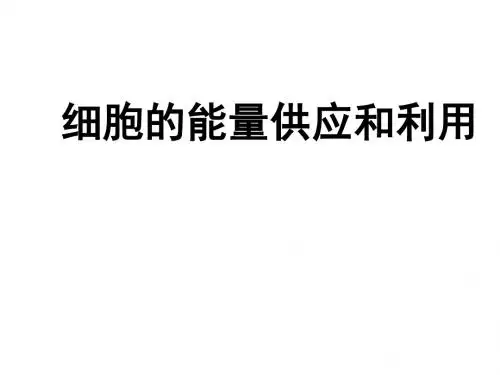 高二生物细胞的能量供应和利用(2018-2019)