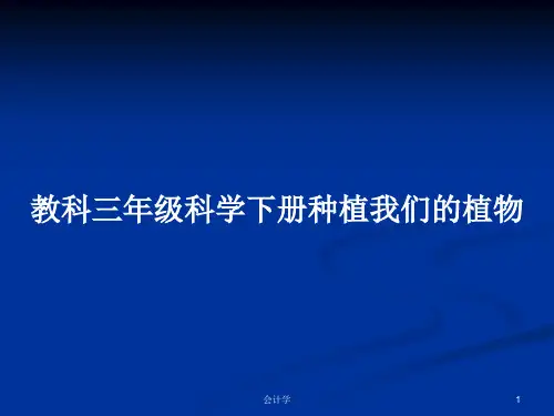教科三年级科学下册种植我们的植物PPT学习教案