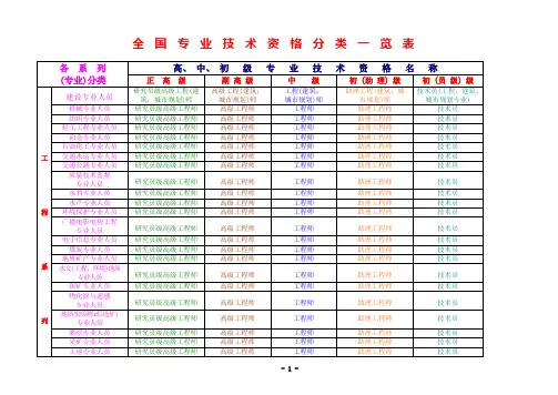 全国专业技术资格分类一览表 2