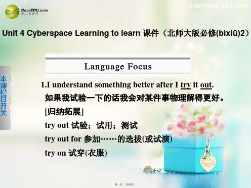 高中英语 Unit 4 Cyberspace Learning to learn课件 北师大版必修2