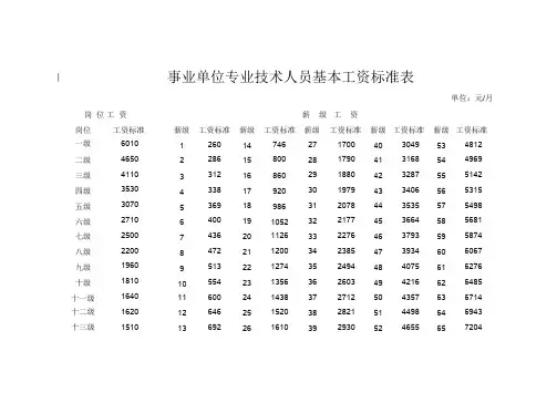 事业单位专业技术人员基本工资标准表