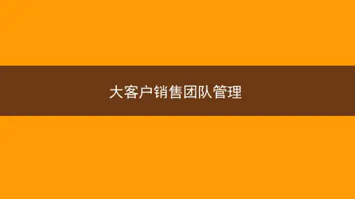 大客户销售团队管理