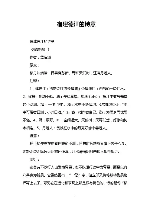宿建德江的诗意