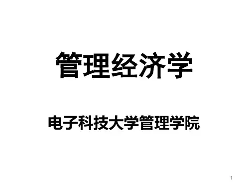管理经济学(PPT 135页)